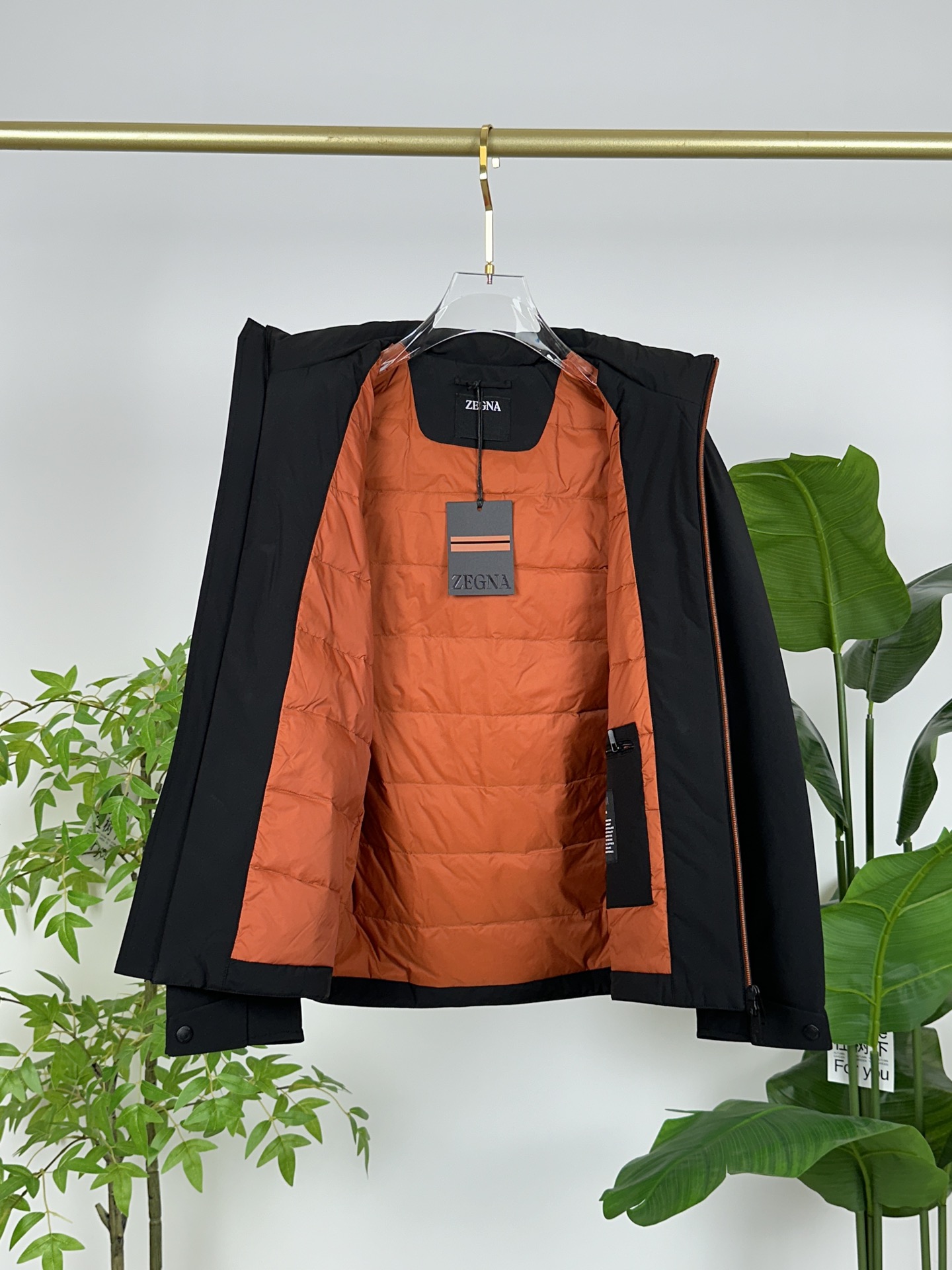 Zegna Down Jackets